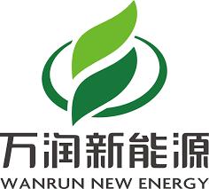 WANRUN - top 10 LFP cathode material manufacturer